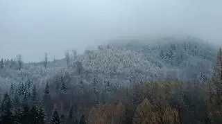 Śnieg w Bielsku-Białej (Śląskie)