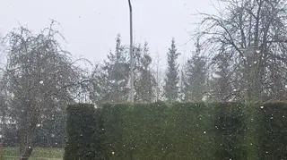 Poranek z opadami śniegu, Prynowo