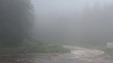 224e3380-4768-4add-ae01-5fee9a2cbd1f_20240914_104534