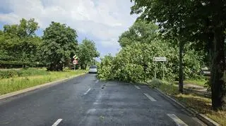 Skutki dzisiejszej burzy, która przeszła nad Piłą (Wielkopolskie)