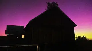 zorza