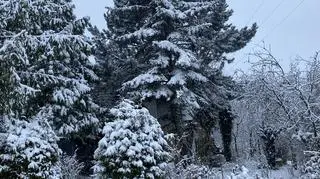 Tenczynek (Małopolskie)