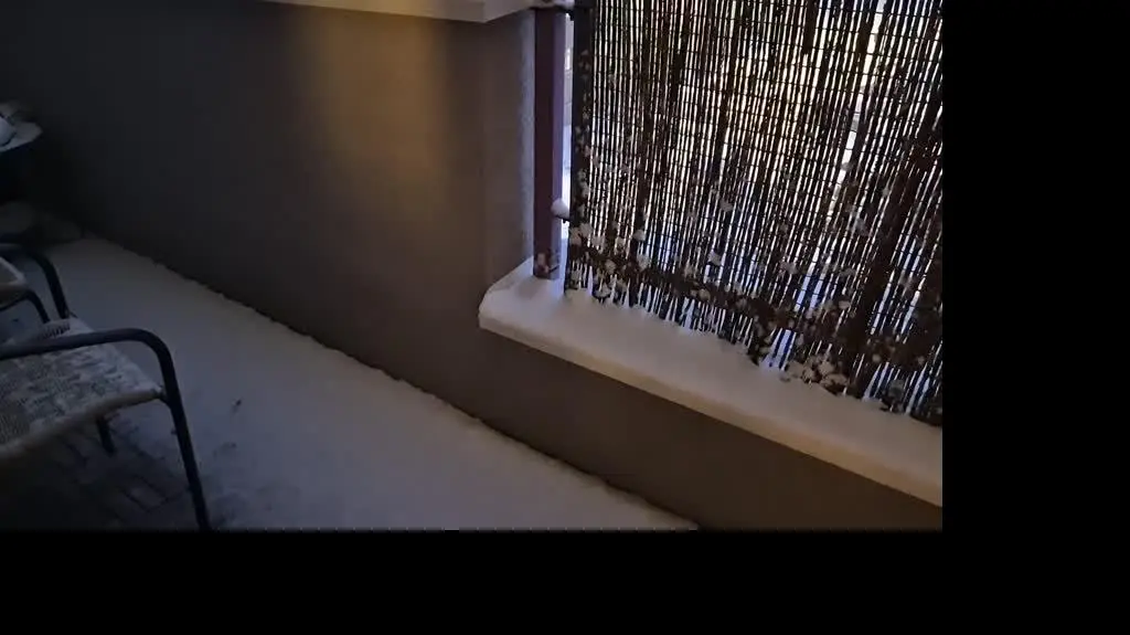 19577468-80aa-4d76-88bb-efdedd5fdd9c_20241122-063838