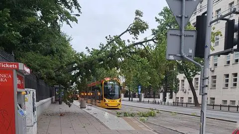 Drzewo zawisło nad torowiskiem, konar spadł na przejeżdżający samochód. Silny wiatr na Mazowszu