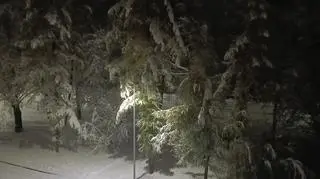 Poranek w Kobiernicach (Śląskie)