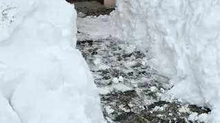 Zimowy poranek, Równe (Podkarpackie)