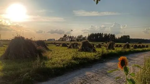 Sobotni wieczór