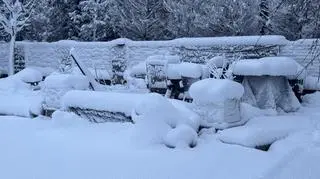 Zima, Dębogórze (Pomorskie) 