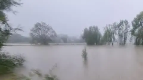 4323ddb5-39ac-41fe-9953-8deea25f3d2e_20240915_113758