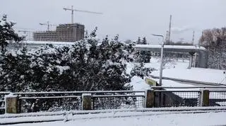 Śnieżny Gdańsk 
