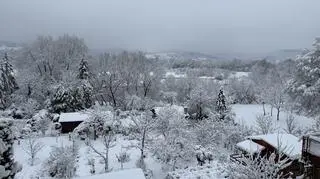 Śnieg w Przemyślu (Podkarpackie)