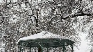 Zima w Przemyślu, 23.11.25 (Podkarpackie)