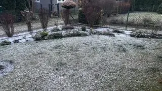 Zima w Głoskowie (Mazowieckie)