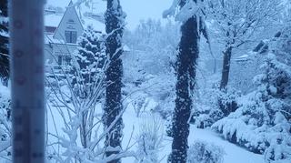 Pada śnieg, Kraków 