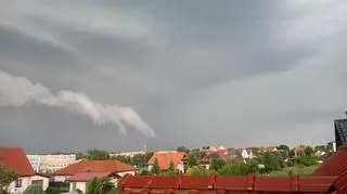 Ścinawa 