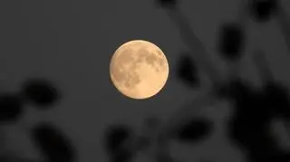 Superpełnia Bobrzego Księżyca