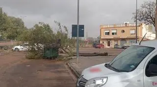 Aldaia, środa ok. g. 10:00