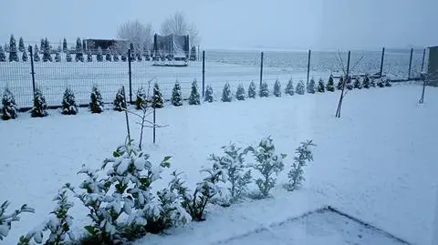 Poranek, Połczyno pod Puckiem