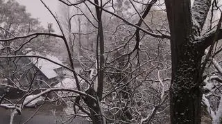 Pierwszy śnieg, Ostrów Wielkopolski 