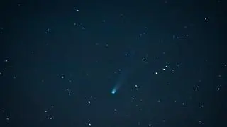 Kometa C/2025 A6 (Lemmon) widziana z Nowogrodu (Podlaskie)