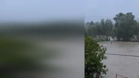 16cd459f-0f2d-440b-8d64-4900d01b0f8c_chomiaza