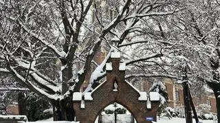 Zima w Przemyślu, 23.11.25 (Podkarpackie)