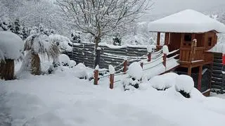 Wola Stróska (Małopolskie)