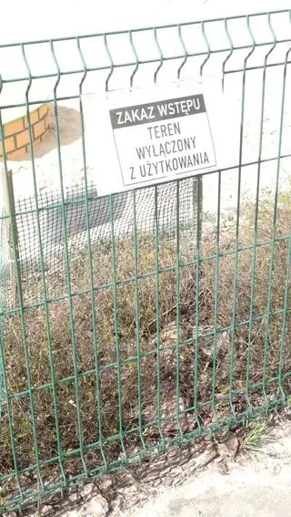 
Kaczka zamieszkała na placu zabaw w Toruniu 