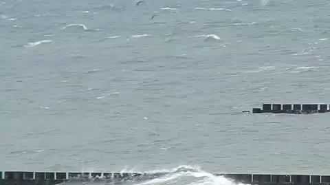 400f4636-e5b6-400c-872e-1b875cd28198_DSCN0756