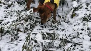 Zima, Przemyśl nad Sanem (Podkarpackie)