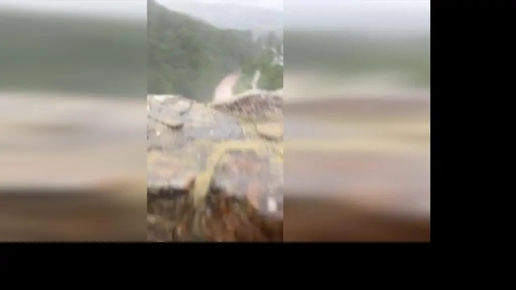 ad100b6a-c94a-4507-b5fc-501fc8959761_Nysa