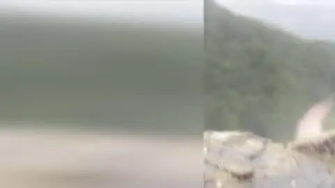 ad100b6a-c94a-4507-b5fc-501fc8959761_Nysa