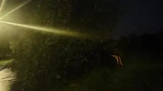 Nawałnica w miejscowości Prusy (Świętokrzyskie)