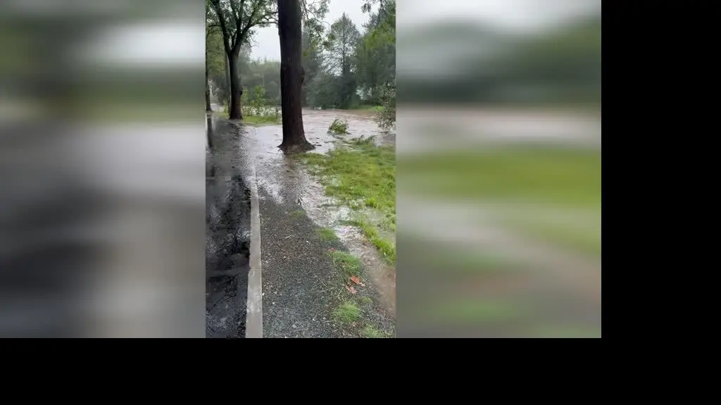 5c26ace7-dead-4e4a-a604-b42bdbf38429_rzeka łomnica