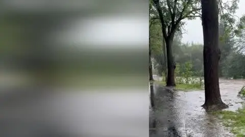 5c26ace7-dead-4e4a-a604-b42bdbf38429_rzeka łomnica