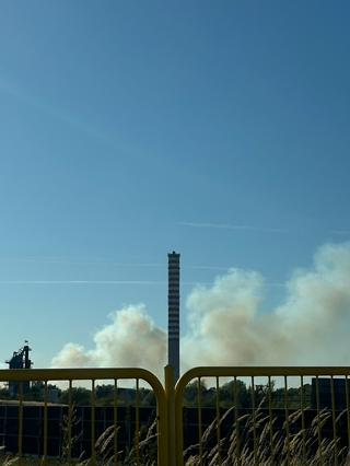 Pożar pól koło Pruszkowa