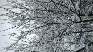 Dziś o poranku w Legnicy 