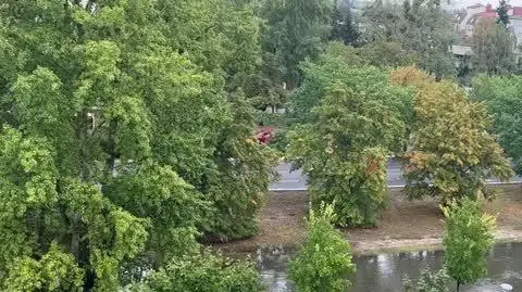 cee1d3bc-bbdd-453f-ab5c-560e3300015a_IMG_0140