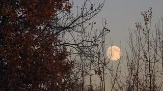 Superpełnia Bobrzego Księżyca