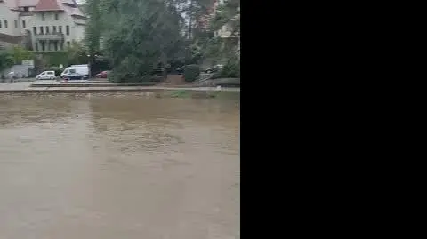 b3c0ff7b-268b-4fde-8a1f-5a08c3776e8c_VID_20240915_113229