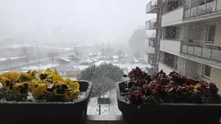 Śnieg w Olsztynie 