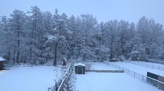 Zimowa niespodzianka z rana, Gądki pod Poznaniem