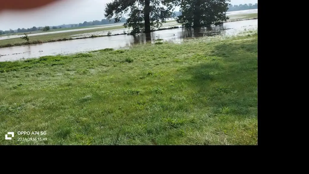 6ac74ce6-9fec-4158-9132-f351545194c5_VID20240916134937