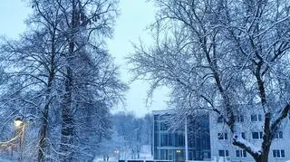 Park Sielecki w Sosnowcu 