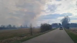 Pożar w Biebrzy, Krasnybór