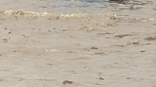 Ulewa w Dąbrowie Górniczej