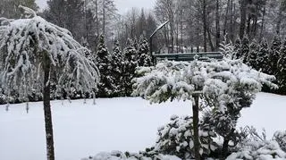 Zima w Ustroniu 