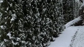 Śnieg w miejscowości Parośla (Lubelskie)