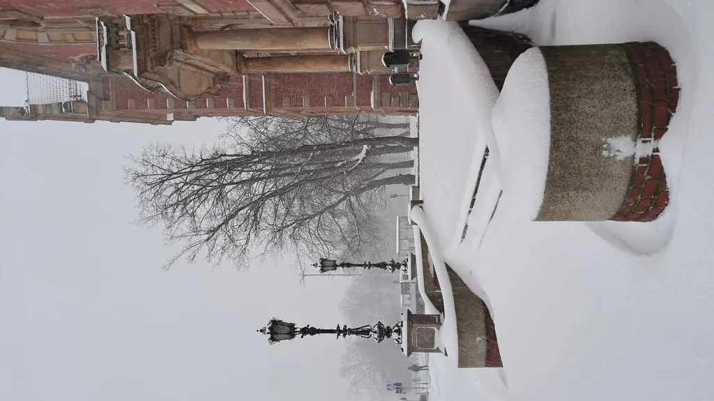 Gdańsk pod białą kołderką 