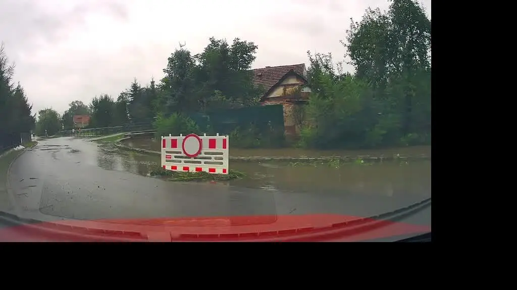 d5a5a51e-10aa-4c92-ae56-9ee570a2808b_Olszany